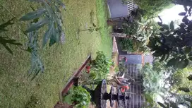 Mencari kerja di bagian taman atau operator mesin rumput gendong