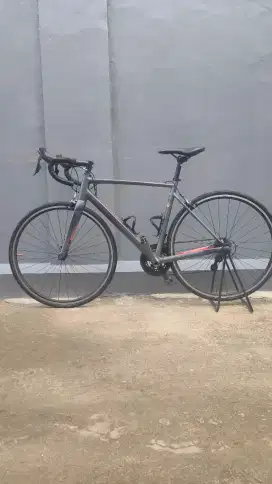 polygon stratos s4 size L
