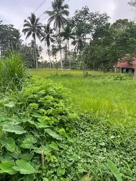 Dijual Tanah View Sawah