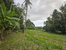 Dijual tanah kebun view sawah di tabanan bali