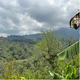 Dijual tanah view gunung cantik murah di tabanan bali.