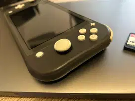 Nintendo switch lite