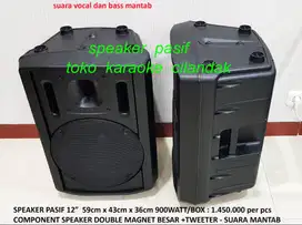 pasif speaker 12