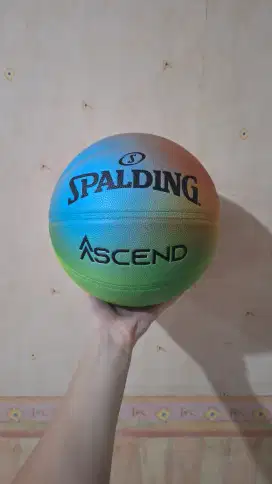 Bola Basket SPALDING - ASCEND size 7 Original 100%