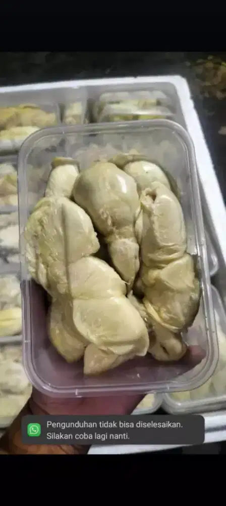 Durian Kupas Medan 500gram