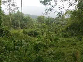 Tanah pekarangan