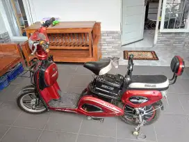 Selis murai 500watt