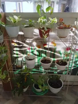 Rak bunga / tempat  bunga + pot bunga + bunga