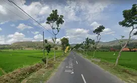 Jual Tanah View Sawah, Kulon Progo Jogja, Resto dan Cafe