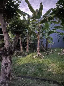 DIJUAL TANAH KOSONG SHM DI SUNTER PERMAI UKURAN 180m2 da 337m2