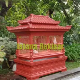 Jual kandang unggas beton