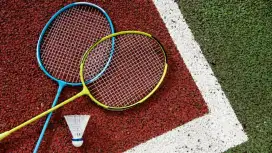 PRIVATE BADMINTON