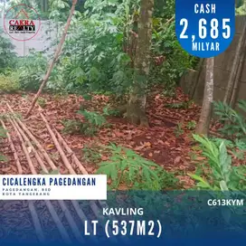 Tanah Strategis BSD Pagedangan