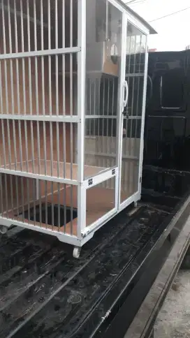 Kandang kucing baru