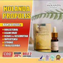 NEW HOLANDA PROPOLIS ORIGINAL