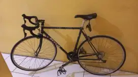 Federal stylizer