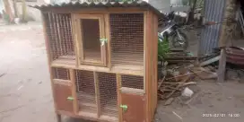 kandang 3 pintu