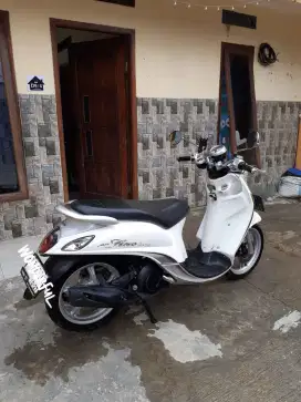 FINO 2022 PREMIUM WHITE