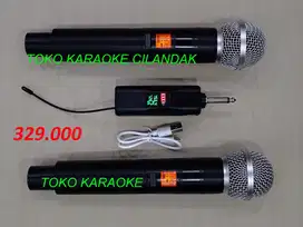 MICROPHONE WIRELESS SIMPLE 2MIC