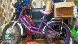 Di Jual Sepeda Anak Evergreen