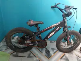 Jual sepeda merek Pasifik