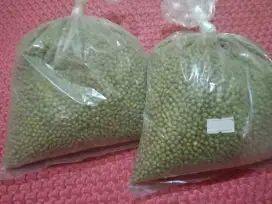 Kacang ijo segar