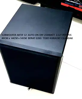 SUBWOOFER AKTIF 12 AUTO ON OFF 250WATT   SUB BASS  pada system karaoke