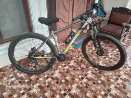 Sepeda Polygon Premier Five