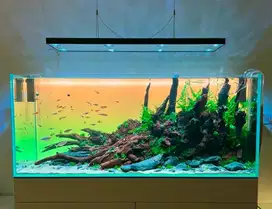 Pembuatan Dekorasi Aquascape Bandung