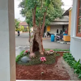 pembuatan taman dengan pohon Pule posil