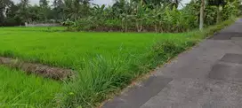 TANAH DIJUAL Area Kampus UII JOGJA