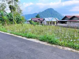 Dijual tanah DATAR Lokasi: Kemuning, Ngargoyoso, Karanganyar.