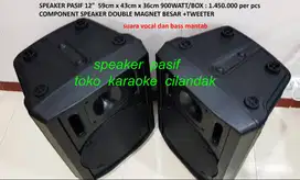 speaker pasif 12in