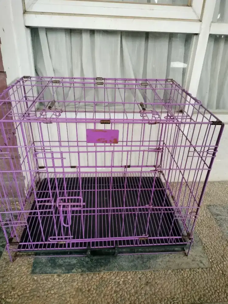Kandang kucing besi kokoh