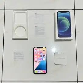 Apple Iphone 12 256Gb Blue