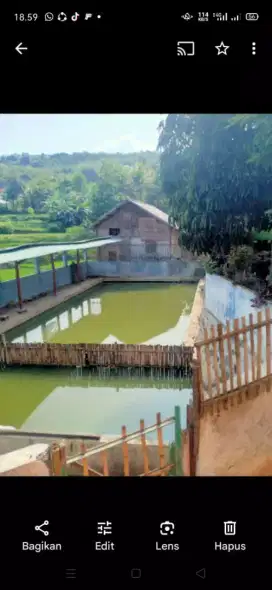Kolam 1..untuk investasi