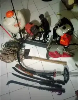Jasa potong rumput dan tebang kayu