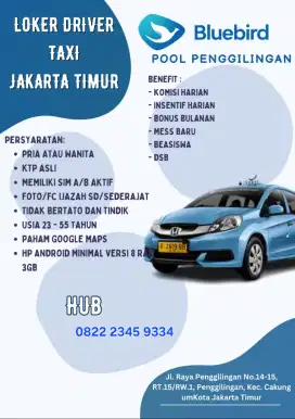 Pengemudi Handal