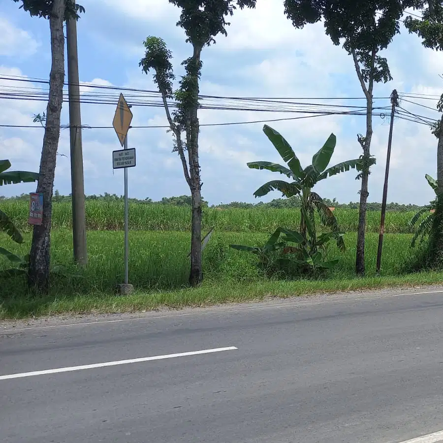 Dijual Tanah Industri Kabuh Jombang Murah