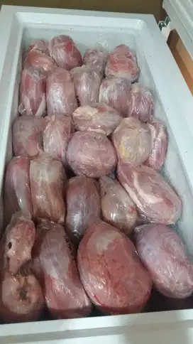 Daging Kelinci Karkas Fresh 1Kg Daging Kelinci | Frozen | Protein | Da