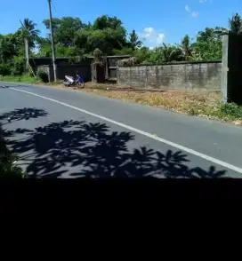 bs u bgn 5ruko, TNH pgr jl 770m, 2km dr RS.Kasih Ibu Saba Gianyar Bali