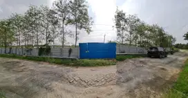 Jual Tanah Luas di Cerme Gresik bisa utk Kavlingan Mini Cluster Gudang