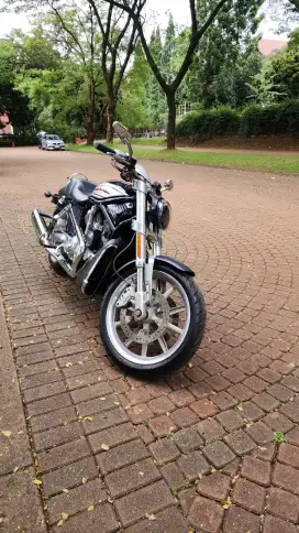 Harley Davidson VRSCR street Rod 2005