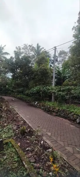 Dijual tanah pekarangan siap panen harga 600 jt