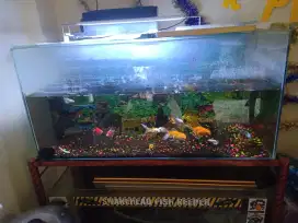 Aquarium mumer aja