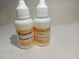 Obat birahi hewan