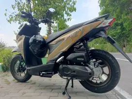 Beat street 2024