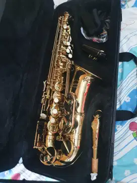 Chateau Cas - 21 L Alto Saxophone