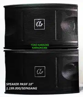 speaker 10in pasif