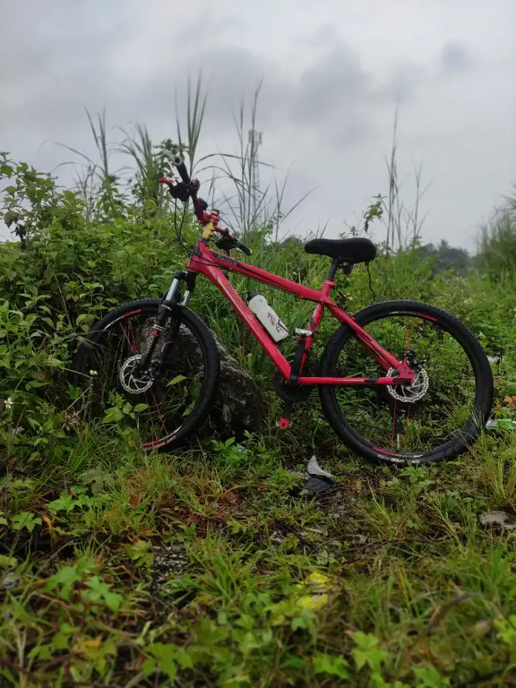 MTB Merk Reebok